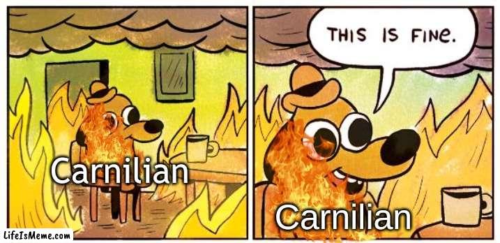 QRKS | Carnilian; Carnilian | image tagged in memes,this is fine | made w/ Lifeismeme meme maker