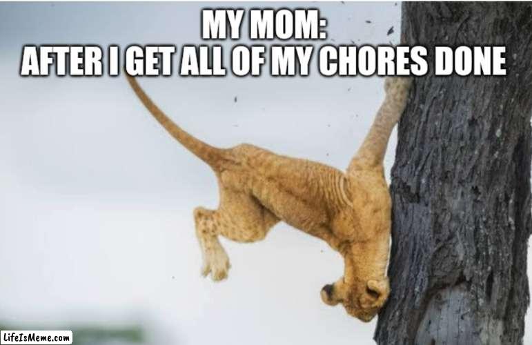 Even my mom | image tagged in lol so funny,lol | made w/ Lifeismeme meme maker
