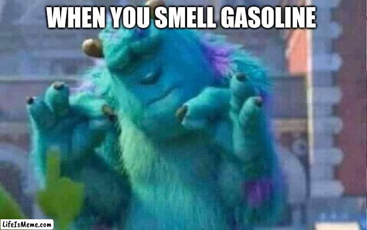 The smell is just too good | WHEN YOU SMELL GASOLINE | image tagged in sully shutdown,gasoline | made w/ Lifeismeme meme maker
