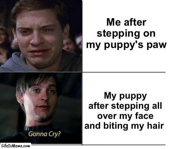 No mercy from my new puppy | Me after stepping on my puppy's paw; My puppy after stepping all over my face and biting my hair | image tagged in toby maguire hotline bling,memes,unfunny | made w/ Lifeismeme meme maker