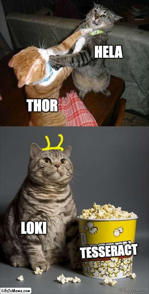 Titled | HELA; THOR; LOKI; TESSERACT | image tagged in cats,thor,thor ragnarok,loki | made w/ Lifeismeme meme maker