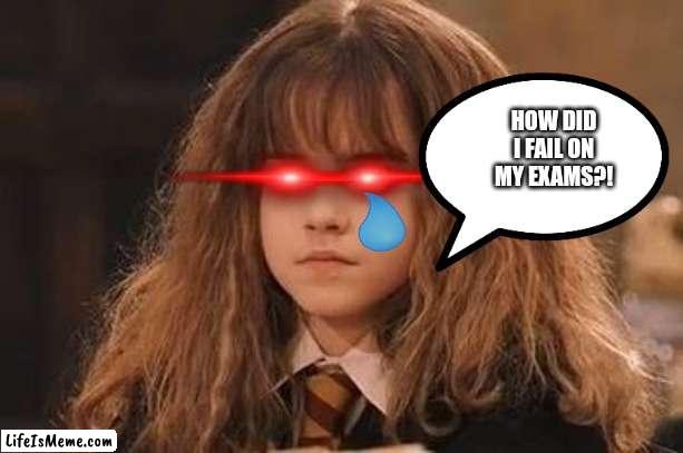 My Exam Results | HOW DID I FAIL ON MY EXAMS?! | image tagged in harry potter - miss granger is not amused | made w/ Lifeismeme meme maker