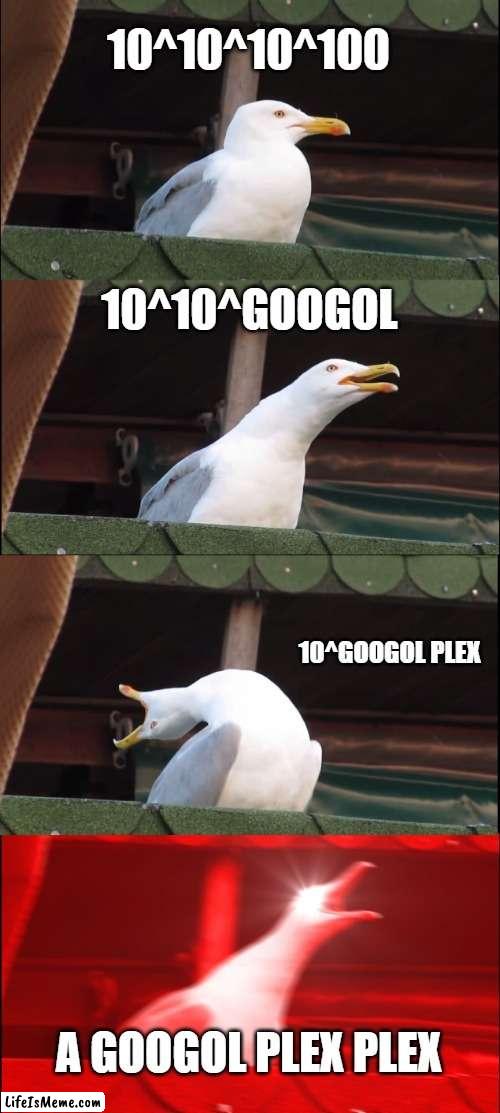 Technically it's called that. | 10^10^10^100; 10^10^GOOGOL; 10^GOOGOL PLEX; A GOOGOL PLEX PLEX | image tagged in memes,inhaling seagull | made w/ Lifeismeme meme maker