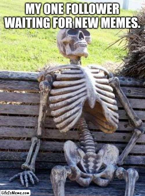 Who is my one follower? | MY ONE FOLLOWER WAITING FOR NEW MEMES. | image tagged in memes,waiting skeleton | made w/ Lifeismeme meme maker