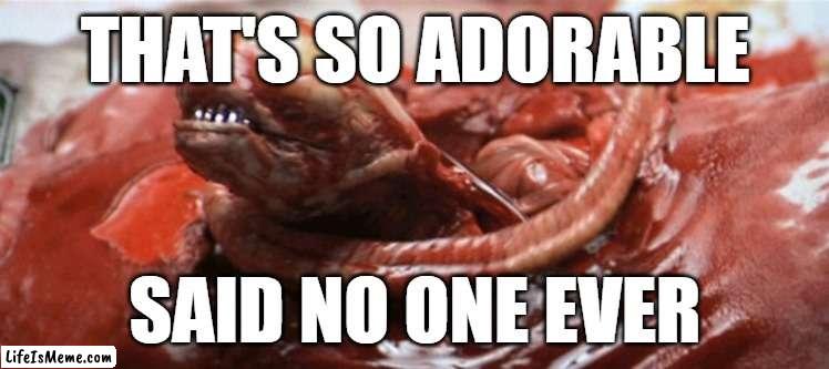 alien chestburster | THAT'S SO ADORABLE; SAID NO ONE EVER | image tagged in alien chestburster,adorable,cute,alien,gore | made w/ Lifeismeme meme maker