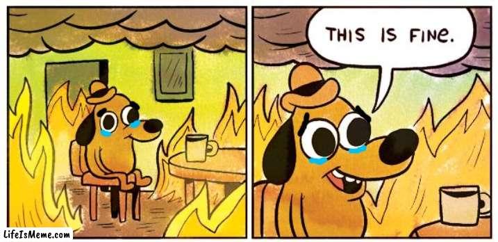 Make a MEME out of this | image tagged in memes,this is fine | made w/ Lifeismeme meme maker