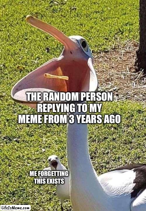 the return of the probably forgotten person | THE RANDOM PERSON REPLYING TO MY MEME FROM 3 YEARS AGO; ME FORGETTING THIS EXISTS | image tagged in pelican mouth | made w/ Lifeismeme meme maker