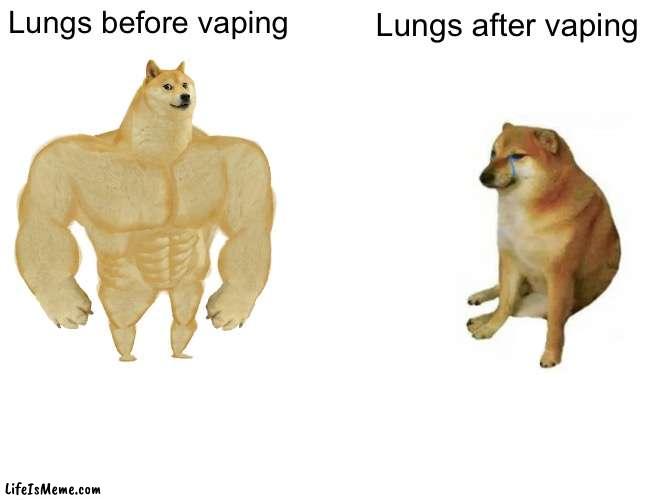 #tobacco free | Lungs before vaping; Lungs after vaping | image tagged in memes,buff doge vs cheems | made w/ Lifeismeme meme maker