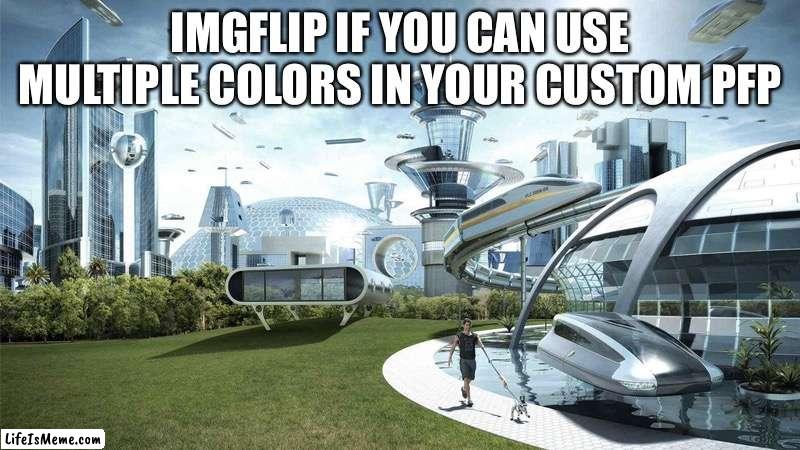 Plz, :( | IMGFLIP IF YOU CAN USE MULTIPLE COLORS IN YOUR CUSTOM PFP | image tagged in the future world if | made w/ Lifeismeme meme maker