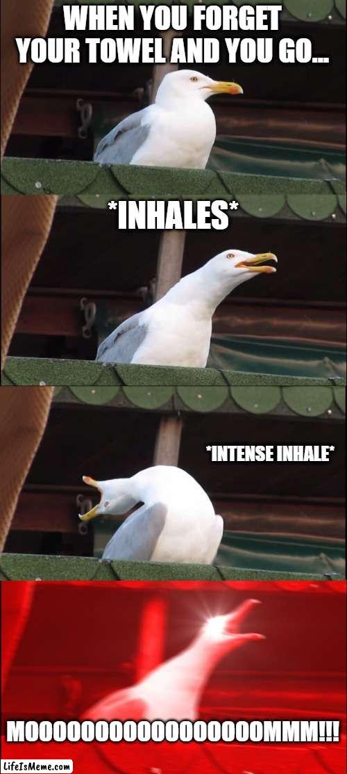 towel | WHEN YOU FORGET YOUR TOWEL AND YOU GO... *INHALES*; *INTENSE INHALE*; MOOOOOOOOOOOOOOOOOMMM!!! | image tagged in memes,inhaling seagull | made w/ Lifeismeme meme maker