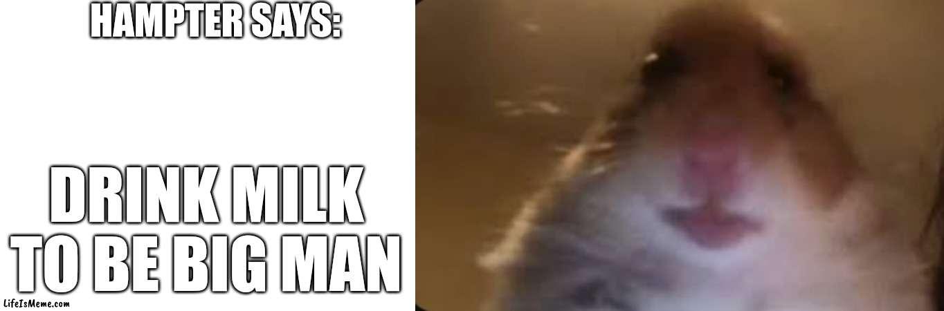 Hampter Quote #1 | HAMPTER SAYS:; DRINK MILK TO BE BIG MAN | image tagged in hampter,quotes | made w/ Lifeismeme meme maker
