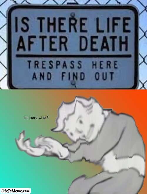 wha | image tagged in i'm sorry what | made w/ Lifeismeme meme maker