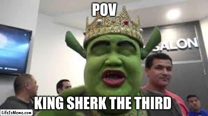 king sherk | POV; KING SHERK THE THIRD | image tagged in memes,funny memes | made w/ Lifeismeme meme maker