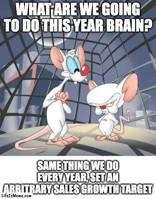 Sales Target | WHAT ARE WE GOING TO DO THIS YEAR BRAIN? SAME THING WE DO EVERY YEAR, SET AN ARBITRARY SALES GROWTH TARGET | image tagged in sales | made w/ Lifeismeme meme maker