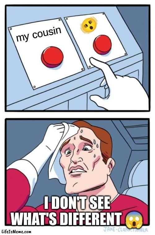 I really don't?✨ | 🫨; my cousin; I DON'T SEE WHAT'S DIFFERENT 😱 | image tagged in memes,two buttons | made w/ Lifeismeme meme maker