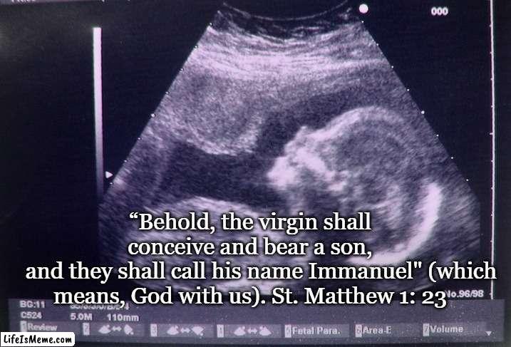 God with us | “Behold, the virgin shall conceive and bear a son,
    and they shall call his name Immanuel" (which means, God with us). St. Matthew 1: 23 | image tagged in gospel,christmas,incarnation,matthew | made w/ Lifeismeme meme maker