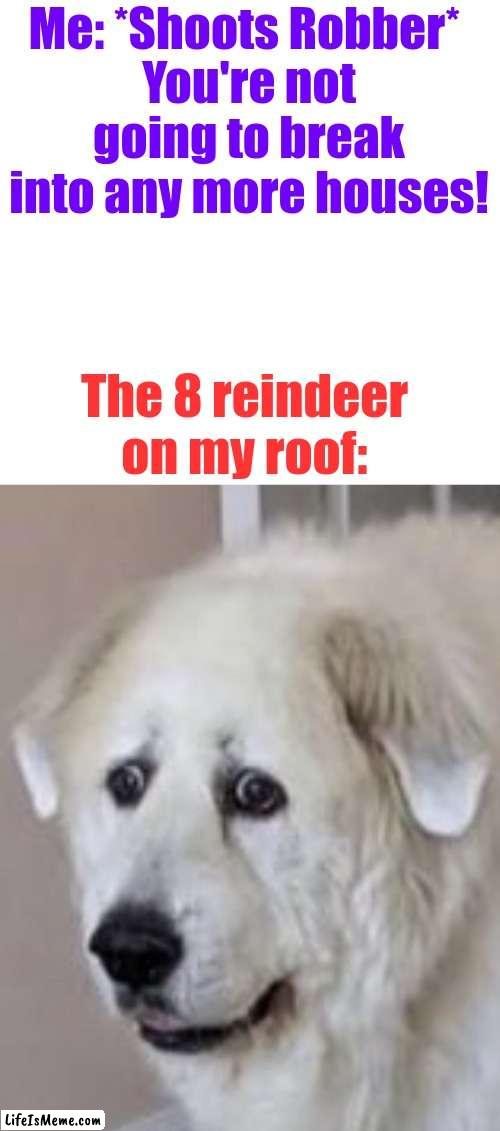 Whoop.s | Me: *Shoots Robber* 
You're not going to break into any more houses! The 8 reindeer on my roof: | image tagged in nervous dog | made w/ Lifeismeme meme maker