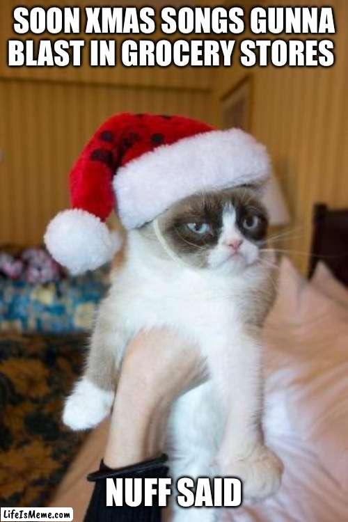 Grumpy Cat Christmas Meme | SOON XMAS SONGS GUNNA BLAST IN GROCERY STORES; NUFF SAID | image tagged in memes,grumpy cat christmas,grumpy cat | made w/ Lifeismeme meme maker