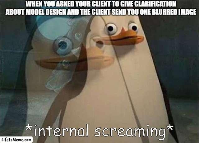 Client unprofessionalism | WHEN YOU ASKED YOUR CLIENT TO GIVE CLARIFICATION ABOUT MODEL DESIGN AND THE CLIENT SEND YOU ONE BLURRED IMAGE | image tagged in private internal screaming | made w/ Lifeismeme meme maker