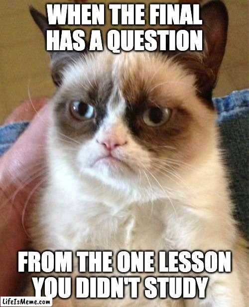 Finals :( | WHEN THE FINAL HAS A QUESTION; FROM THE ONE LESSON YOU DIDN'T STUDY | image tagged in memes,grumpy cat | made w/ Lifeismeme meme maker