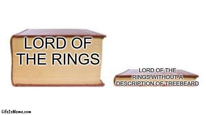 Treebeard Description | LORD OF THE RINGS; LORD OF THE RINGS WITHOUT A DESCRIPTION OF TREEBEARD | image tagged in big book small book | made w/ Lifeismeme meme maker