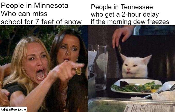 haha suck it | People in Minnesota Who can miss school for 7 feet of snow; People in Tennessee who get a 2-hour delay if the morning dew freezes | image tagged in memes,woman yelling at cat | made w/ Lifeismeme meme maker