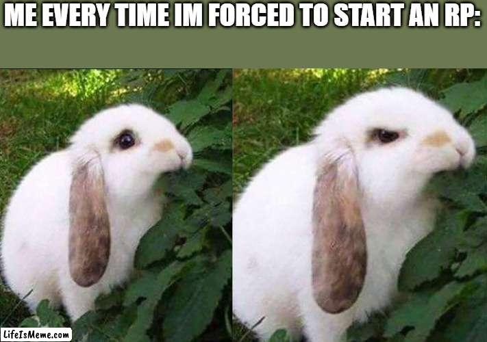 Rp meme | ME EVERY TIME IM FORCED TO START AN RP: | image tagged in bunny biting leaf | made w/ Lifeismeme meme maker