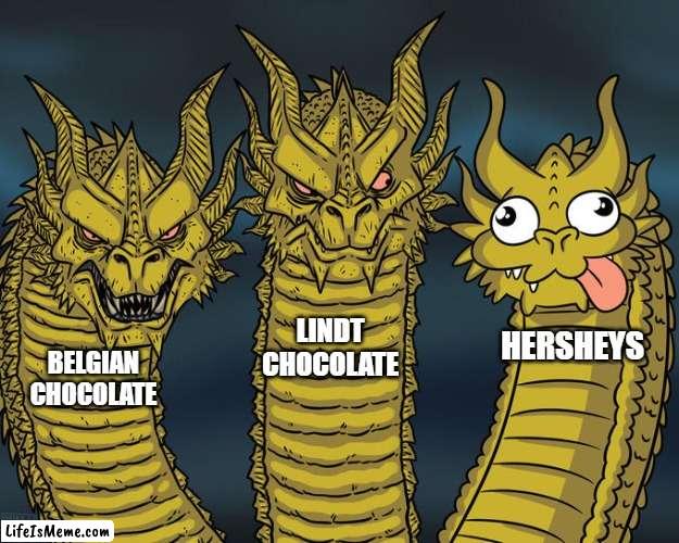 all chocolates are equal, but some are more equal than others. | LINDT CHOCOLATE; HERSHEYS; BELGIAN CHOCOLATE | image tagged in three-headed dragon,chocolate | made w/ Lifeismeme meme maker