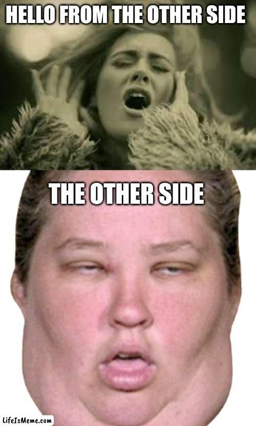 The other side be like | HELLO FROM THE OTHER SIDE; THE OTHER SIDE | image tagged in hello from the other side,ugly | made w/ Lifeismeme meme maker