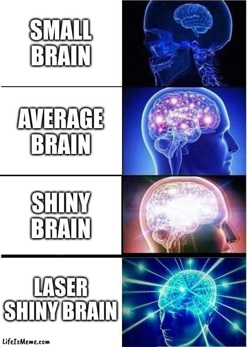Literal memes | SMALL BRAIN; AVERAGE BRAIN; SHINY BRAIN; LASER SHINY BRAIN | image tagged in memes,expanding brain | made w/ Lifeismeme meme maker
