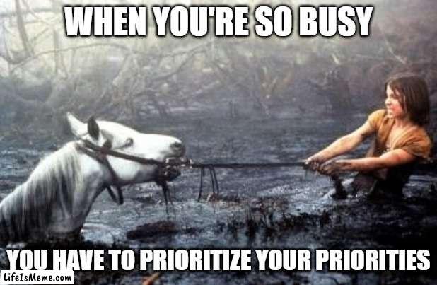 Work is that busy sometimes... | WHEN YOU'RE SO BUSY; YOU HAVE TO PRIORITIZE YOUR PRIORITIES | image tagged in artax dies,priorities,inbox,busy,work | made w/ Lifeismeme meme maker