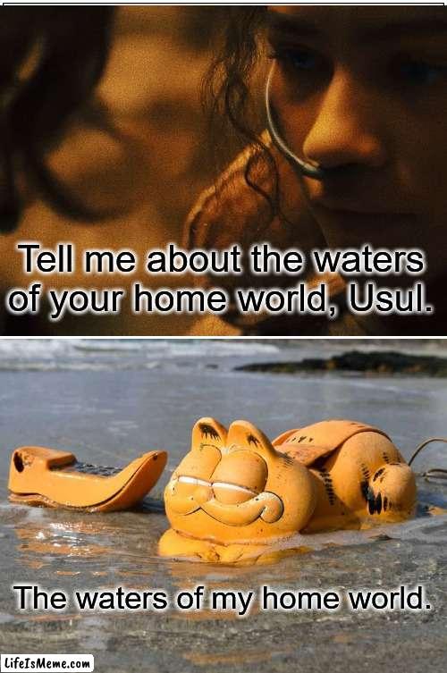 The waters of my home world | Tell me about the waters of your home world, Usul. The waters of my home world. | image tagged in dune,garfield | made w/ Lifeismeme meme maker