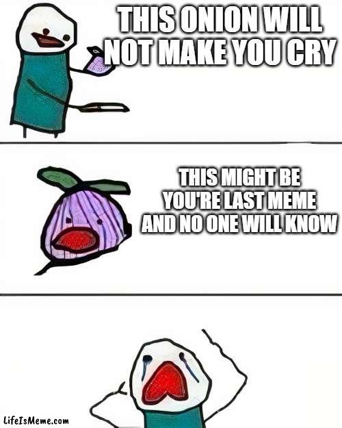 this onion won't make me cry 100% | THIS ONION WILL NOT MAKE YOU CRY; THIS MIGHT BE YOU'RE LAST MEME AND NO ONE WILL KNOW | image tagged in this onion won't make me cry better quality,this onion won't make me cry,fun,so true memes | made w/ Lifeismeme meme maker