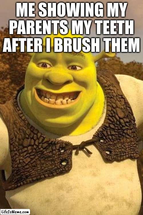Smiling Shrek | ME SHOWING MY PARENTS MY TEETH AFTER I BRUSH THEM | image tagged in smiling shrek | made w/ Lifeismeme meme maker