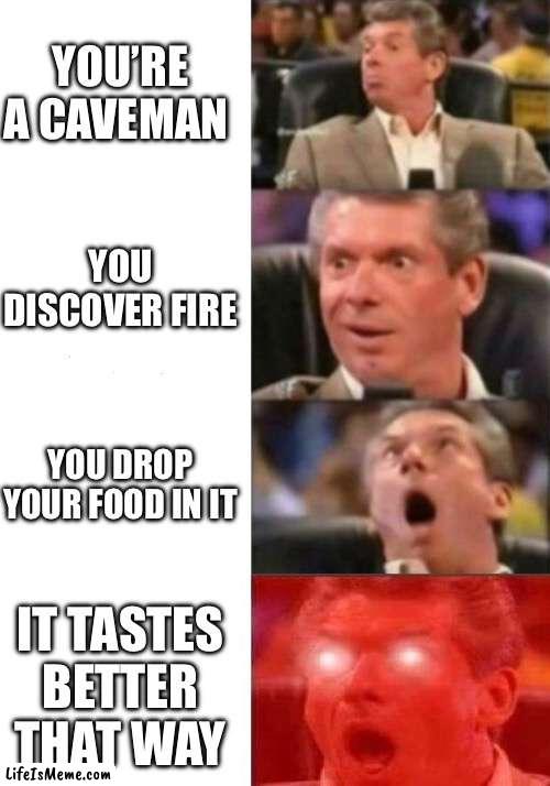 Invention of cooking | YOU’RE A CAVEMAN; YOU DISCOVER FIRE; YOU DROP YOUR FOOD IN IT; IT TASTES BETTER THAT WAY | image tagged in mr mcmahon reaction | made w/ Lifeismeme meme maker