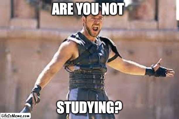 Are you not entertained | ARE YOU NOT; STUDYING? | image tagged in are you not entertained | made w/ Lifeismeme meme maker