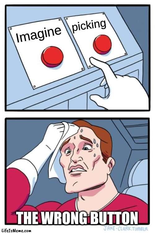The wrong BUTTON!!! | picking; Imagine; THE WRONG BUTTON | image tagged in memes,two buttons | made w/ Lifeismeme meme maker