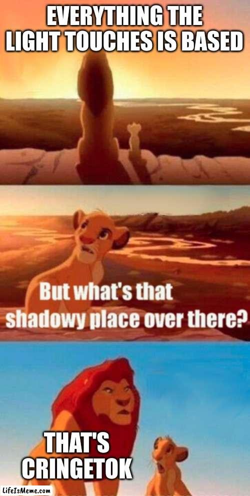 Based Mufasa | EVERYTHING THE LIGHT TOUCHES IS BASED; THAT'S CRINGETOK | image tagged in memes,simba shadowy place | made w/ Lifeismeme meme maker