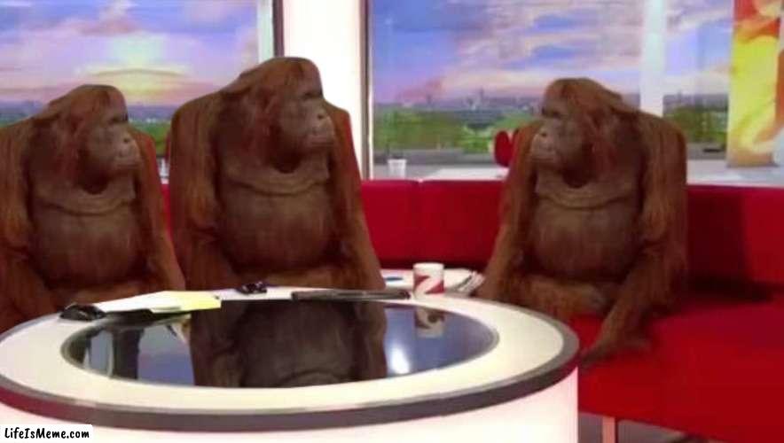 we don't need any context | image tagged in where monkey,memes,monkey,talk | made w/ Lifeismeme meme maker