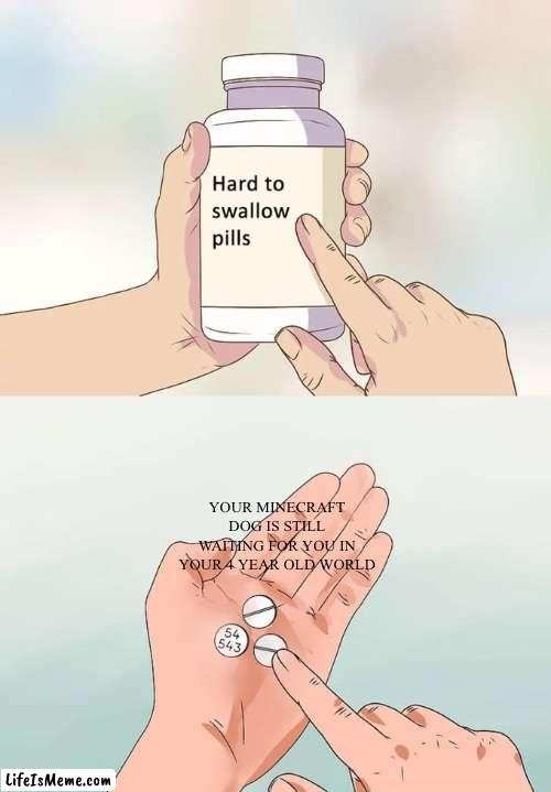 WHYYYYYYYYYYY | YOUR MINECRAFT DOG IS STILL WAITING FOR YOU IN YOUR 4 YEAR OLD WORLD | image tagged in memes,hard to swallow pills | made w/ Lifeismeme meme maker