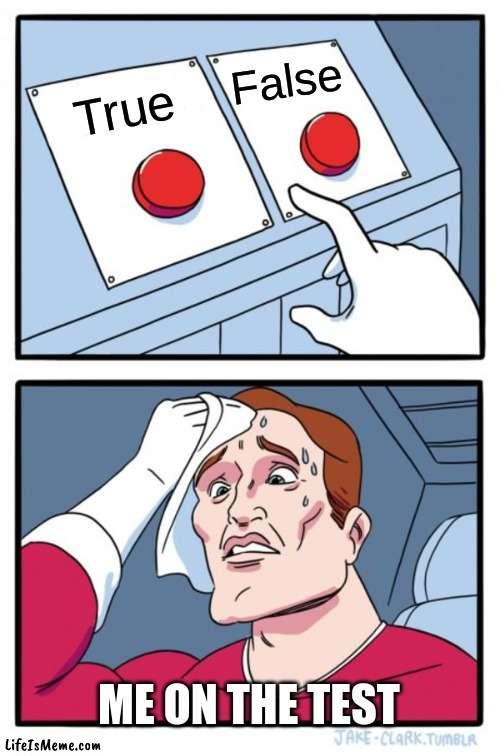 this is me in scool | False; True; ME ON THE TEST | image tagged in memes,two buttons | made w/ Lifeismeme meme maker