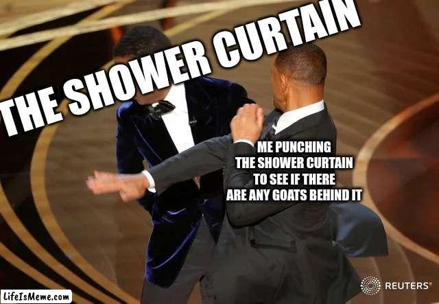 the shower curtain ghoast | THE SHOWER CURTAIN; ME PUNCHING THE SHOWER CURTAIN TO SEE IF THERE ARE ANY GOATS BEHIND IT | image tagged in will smith punching chris rock | made w/ Lifeismeme meme maker