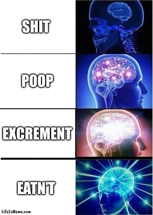 I need to ______ | SHIT; POOP; EXCREMENT; EATN’T | image tagged in memes,expanding brain | made w/ Lifeismeme meme maker