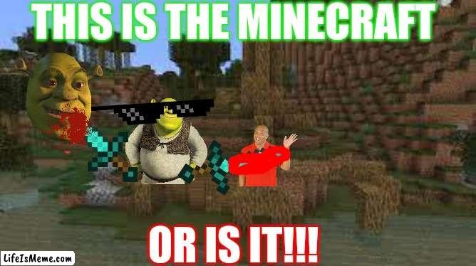 is it minecraft or what is it!!! | THIS IS THE MINECRAFT; OR IS IT!!! | image tagged in memes | made w/ Lifeismeme meme maker