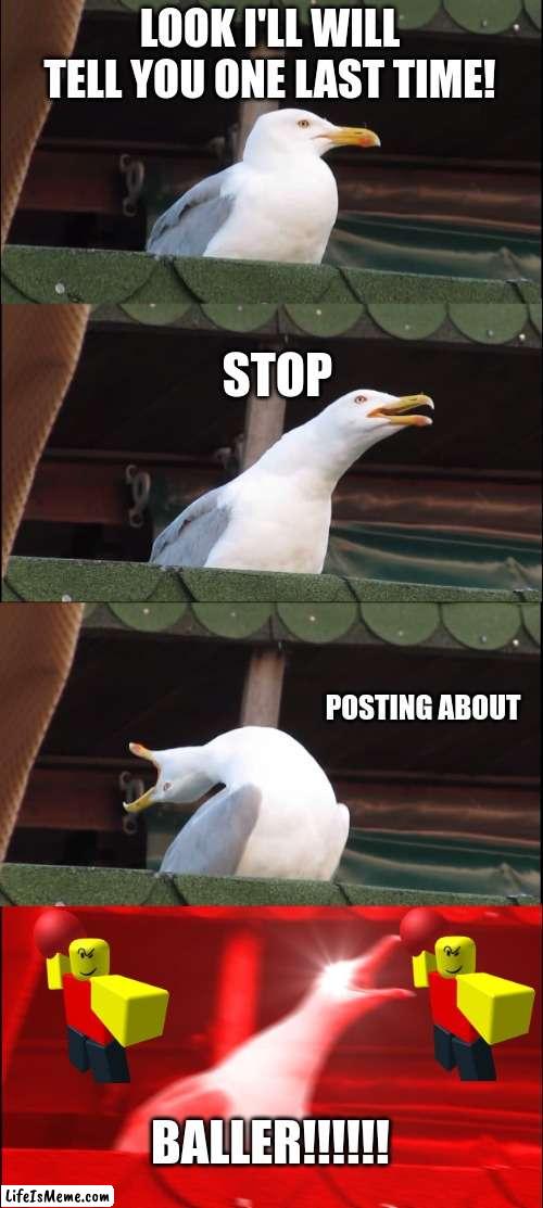 Stop posting about baller!!! | LOOK I'LL WILL TELL YOU ONE LAST TIME! STOP; POSTING ABOUT; BALLER!!!!!! | image tagged in memes,inhaling seagull | made w/ Lifeismeme meme maker