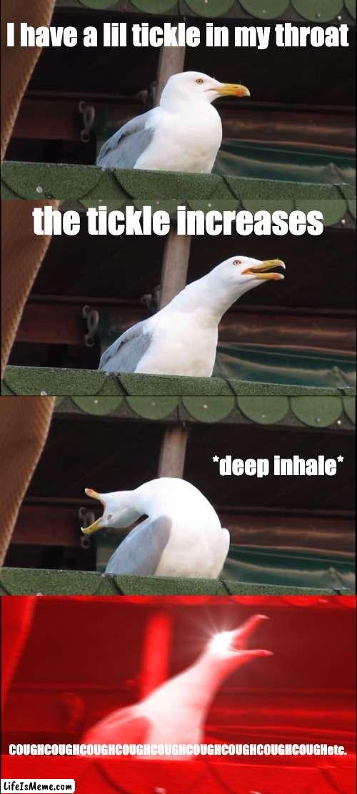 And then everybody turns to look at you... | I have a lil tickle in my throat; the tickle increases; *deep inhale*; COUGHCOUGHCOUGHCOUGHCOUGHCOUGHCOUGHCOUGHCOUGHetc. | image tagged in memes,inhaling seagull | made w/ Lifeismeme meme maker