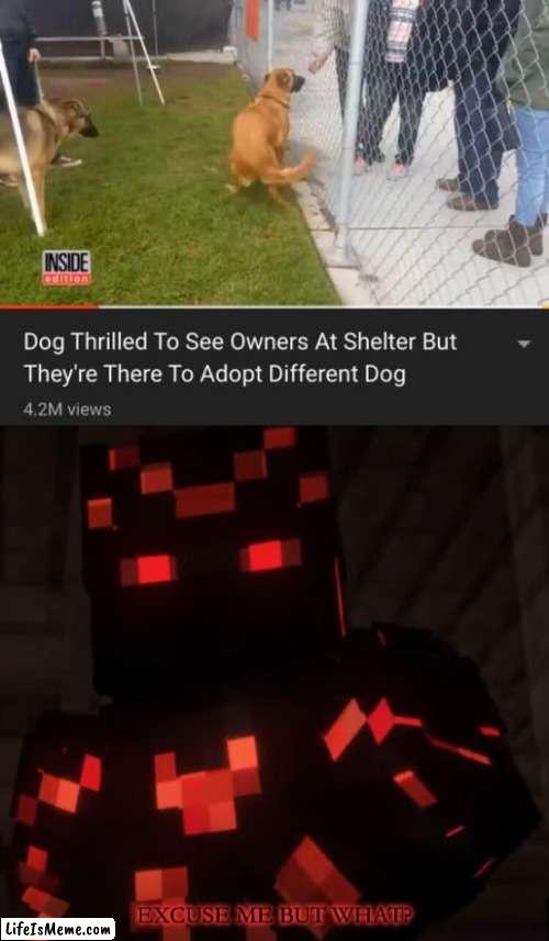 sins | image tagged in skorch excuse me but what | made w/ Lifeismeme meme maker