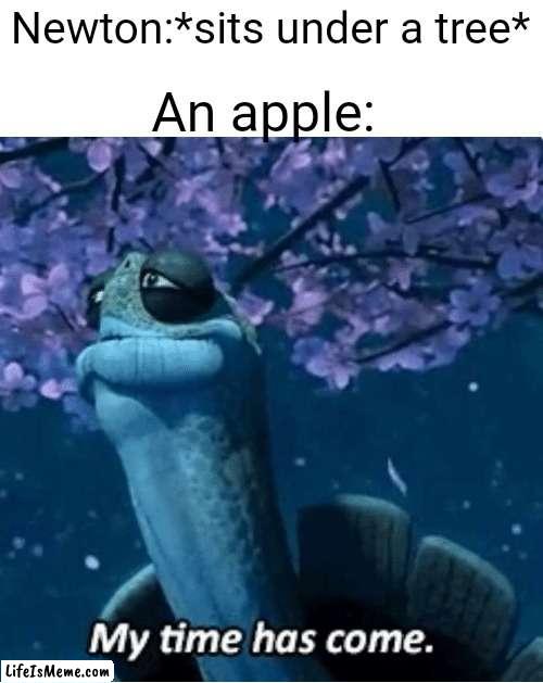 That's how we discovered gravity | Newton:*sits under a tree*; An apple: | image tagged in my time has come,lol,funny,memes,funny memes | made w/ Lifeismeme meme maker