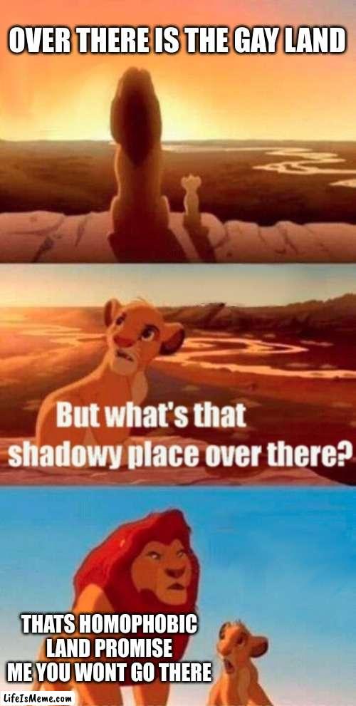 this is cool | OVER THERE IS THE GAY LAND; THATS HOMOPHOBIC LAND PROMISE ME YOU WONT GO THERE | image tagged in memes,simba shadowy place | made w/ Lifeismeme meme maker