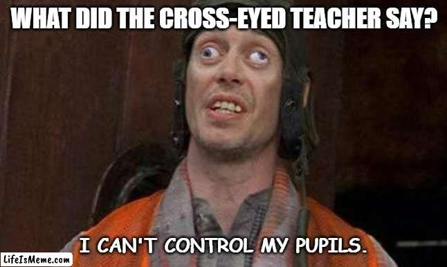 Daily Bad Dad Joke Dec 14 2022 | WHAT DID THE CROSS-EYED TEACHER SAY? I CAN'T CONTROL MY PUPILS. | image tagged in looks good to me | made w/ Lifeismeme meme maker